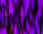 BROEK LIA - PURPLE LILA BIOLOGISCHE KATOEN - Afbeelding 5